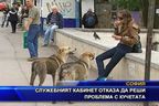 Служебният кабинет отказа да реши проблема с кучетата