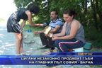  Цигани незаконно продават гъби на главния път София - Варна