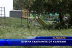  Бум на ухапаните от кърлежи