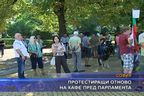  Протестиращи отново на кафе пред парламента