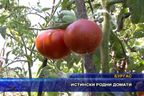 Истински родни домати