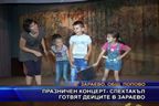  Празничен концерт-спектакъл готвят дейците в Зараево