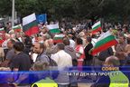  84-ти ден на протест