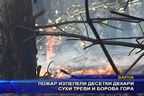  Пожар изпепели десетки декари сухи треви и борова гора