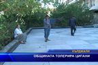 Общината толерира цигани