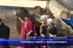 Поредна гавра с Йордановден