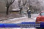  Паднали дървета и клони почти на всяка улица