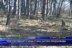  Обезлесяването край Стара Загора продължава