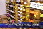  Пчеларите не са съгласни с готвения проектозакон за сектора