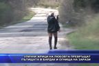  Жрици на любовта сеят зарази и превръщат пътищата в бардак