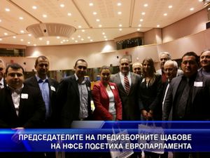Председателите на предизборните щабове на НФСБ посетиха ЕП