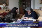 Плевенчанка остана без българска пенсия заради гръцките институции