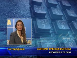 Сигнал до главния прокурор за изсичането на Борисовата градина