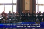  Ускорено се харчат пари за разкриване на консулства в чужбина