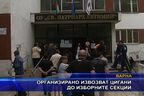  Организирано извозват цигани до изборните секции