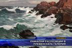  Уникални експозиции в Плевенската галерия