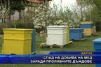 Спад на добива на мед заради проливните дъждове