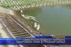  Замърсени води от пороите умъртвиха риба в гребния канал