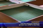 Нагли крадци обраха музея на Христо Ботев