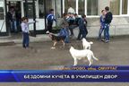  Бездомни кучета в училищен двор