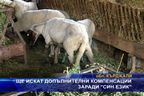  Ще искат допълнителни компенсации заради “син език”