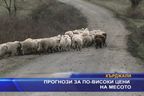  Прогнози за по-високи цени на месото