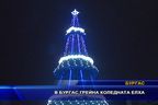  В Бургас грейна коледната елха