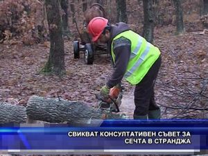 Свикват консултативен съвет за сечта в Странджа