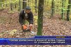  Тонове дървесина се изнасят всяка година от Странджа към Турция