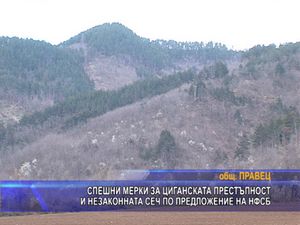 НФСБ иска спешни мерки за циганската престъпност и незаконната сеч