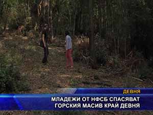 Младежи от НФСБ спасяват горския масив край Девня