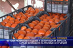40 тона развалени плодове и зеленчуци на борсата, заради блокадата на границата
