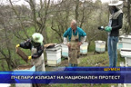 
Пчелари излизат на национален протест