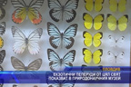 Екзотични пеперуди от цял свят показват в природонаучния музей