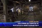 
Кой трябва да помогне на българското животновъдство?!