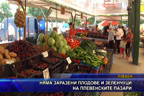 Няма заразени плодове и зеленчуци на плевенските пазари
