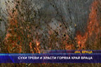 Сухи треви и храсти горяха край Враца
