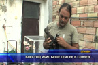 Блестящ ибис беше спасен в Сливен