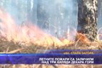 Летните пожари са заличили над три хиляди декара гори