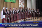 Фолклорният конкурс “Калинка Вълчева“ събра десетки изпълнители в Тервел