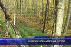 432 хектара гори са изсечени в Бургаско