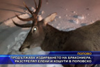 Продължава издирването на бракониера, разстрелял елени и кошути в Поповско