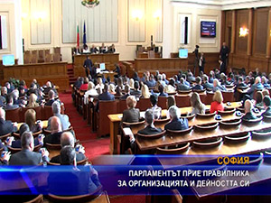 Парламентът прие правилник за организацията и дейността с