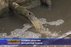 Свинеферма замърсява водата на обществените чешми