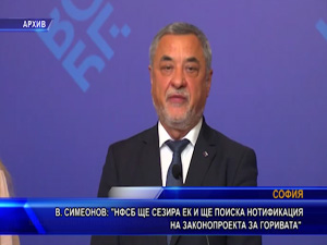 Симеонов: НФСБ ще сезира EK и ще поиска нотификация на законопроекта за горивата