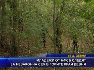 Младежи от НФСБ следят за незаконна сеч в горите край Девня