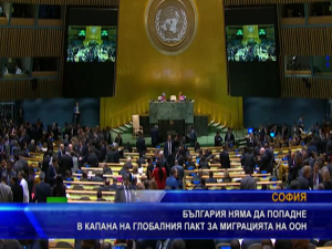 България няма да попадне в капан на глобалния пакт за миграцията на ООН