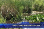 Блатото с водните лилии Аркутино остава строг резерват