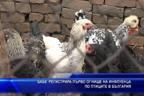 БАБХ регистрира първо огнище на инфлуенца по птиците в България
