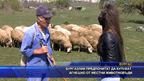 Бургазлии предпочитат да купуват агнешко от местни животновъди
